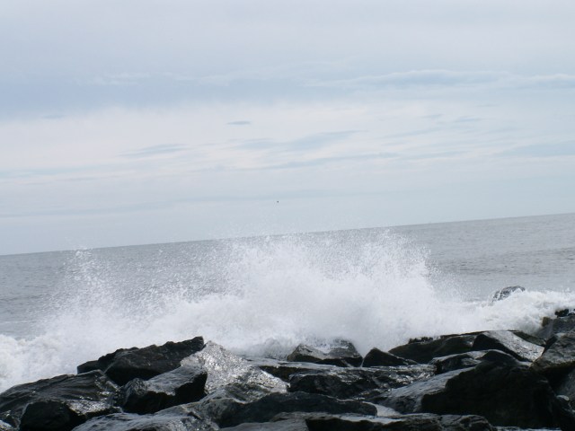 KONICA MINOLTA DIGITAL CAMERA